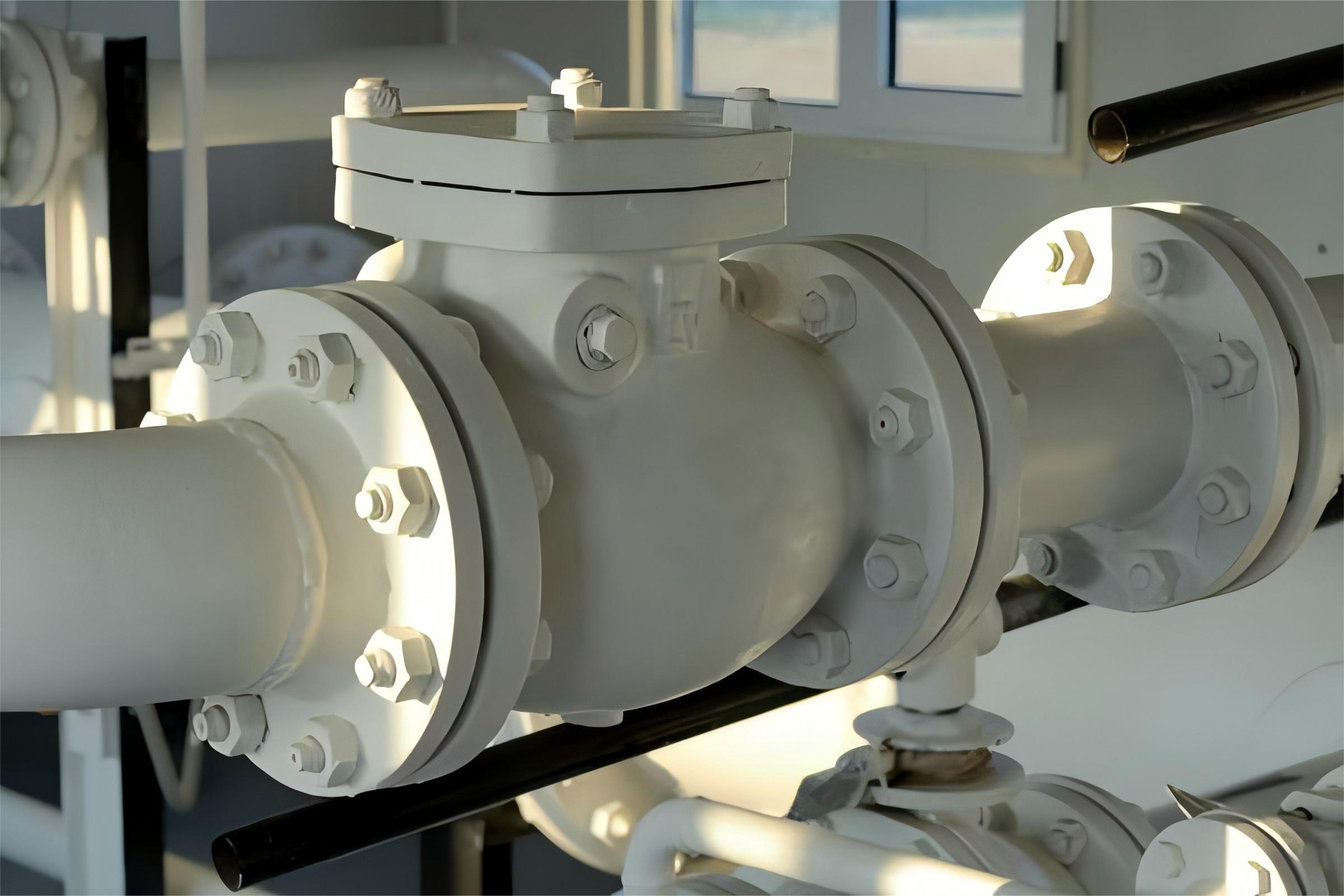 swing check valve vs spring check valve​
